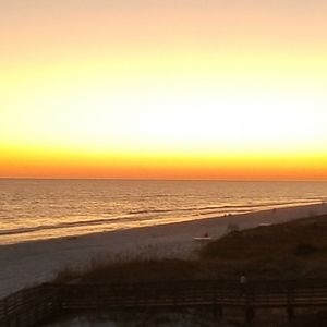 Meet your Posher, Alexa